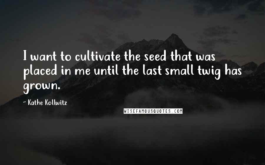 Kathe Kollwitz Quotes: I want to cultivate the seed that was placed in me until the last small twig has grown.