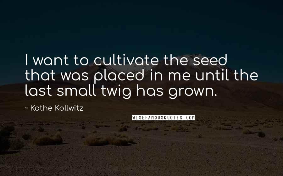 Kathe Kollwitz Quotes: I want to cultivate the seed that was placed in me until the last small twig has grown.