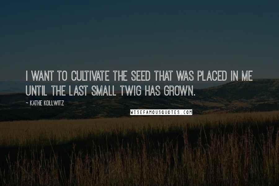 Kathe Kollwitz Quotes: I want to cultivate the seed that was placed in me until the last small twig has grown.