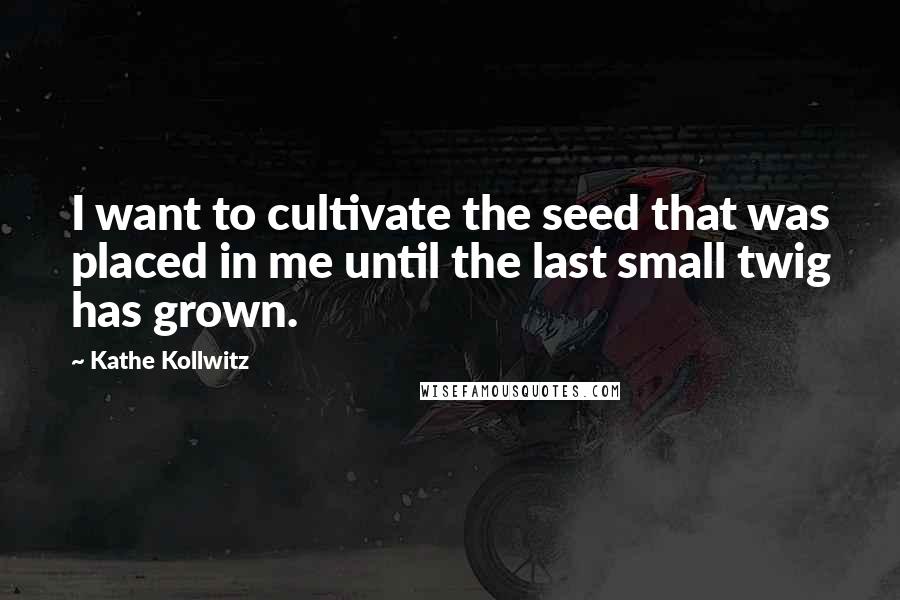 Kathe Kollwitz Quotes: I want to cultivate the seed that was placed in me until the last small twig has grown.