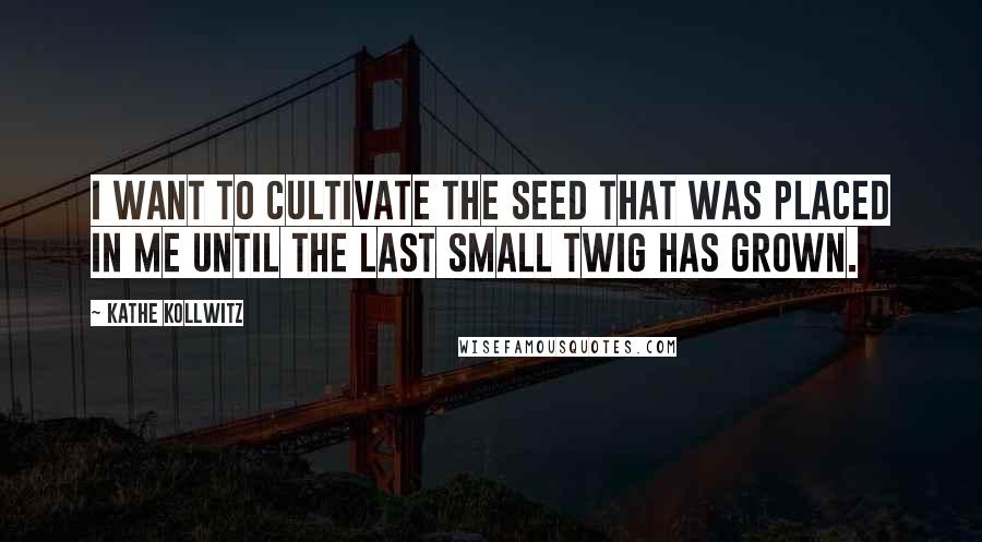 Kathe Kollwitz Quotes: I want to cultivate the seed that was placed in me until the last small twig has grown.