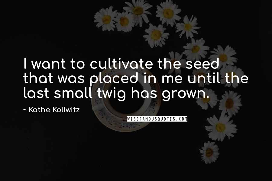 Kathe Kollwitz Quotes: I want to cultivate the seed that was placed in me until the last small twig has grown.