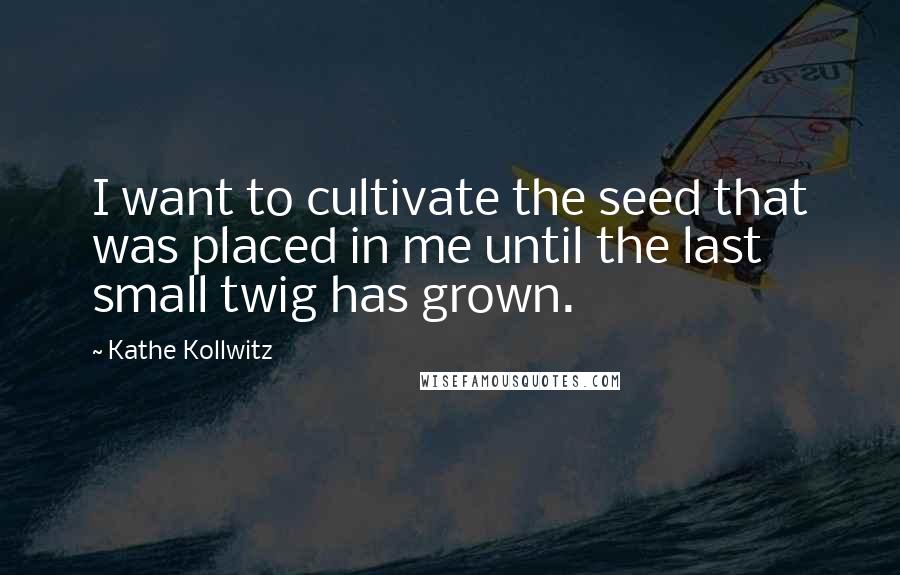 Kathe Kollwitz Quotes: I want to cultivate the seed that was placed in me until the last small twig has grown.