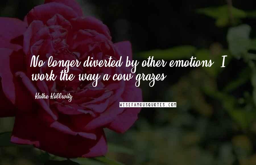 Kathe Kollwitz Quotes: No longer diverted by other emotions, I work the way a cow grazes.