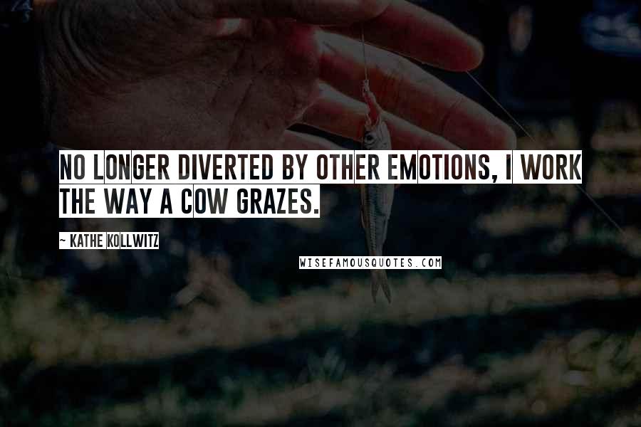 Kathe Kollwitz Quotes: No longer diverted by other emotions, I work the way a cow grazes.