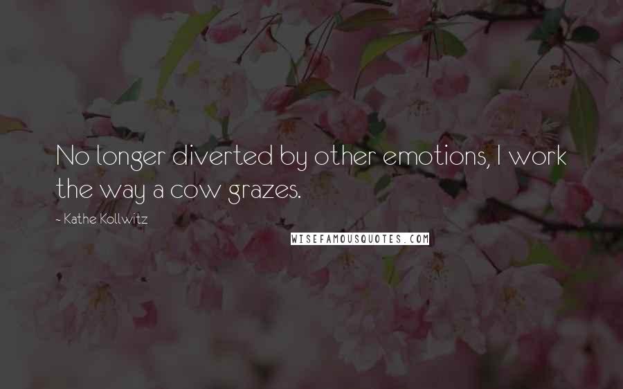 Kathe Kollwitz Quotes: No longer diverted by other emotions, I work the way a cow grazes.