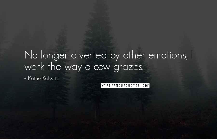 Kathe Kollwitz Quotes: No longer diverted by other emotions, I work the way a cow grazes.