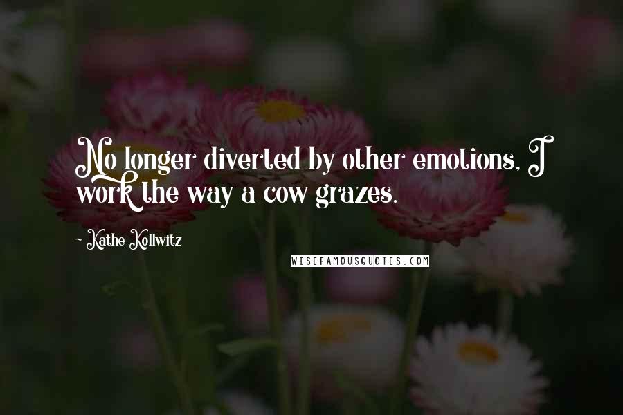 Kathe Kollwitz Quotes: No longer diverted by other emotions, I work the way a cow grazes.