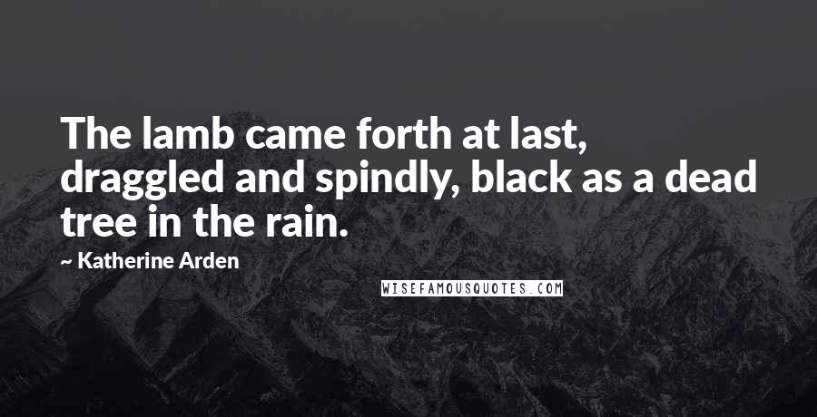 Katherine Arden Quotes: The lamb came forth at last, draggled and spindly, black as a dead tree in the rain.