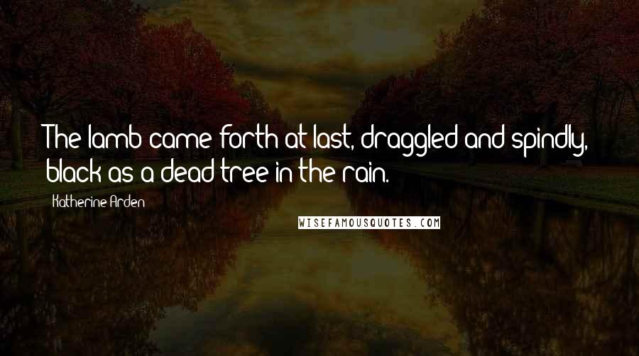 Katherine Arden Quotes: The lamb came forth at last, draggled and spindly, black as a dead tree in the rain.