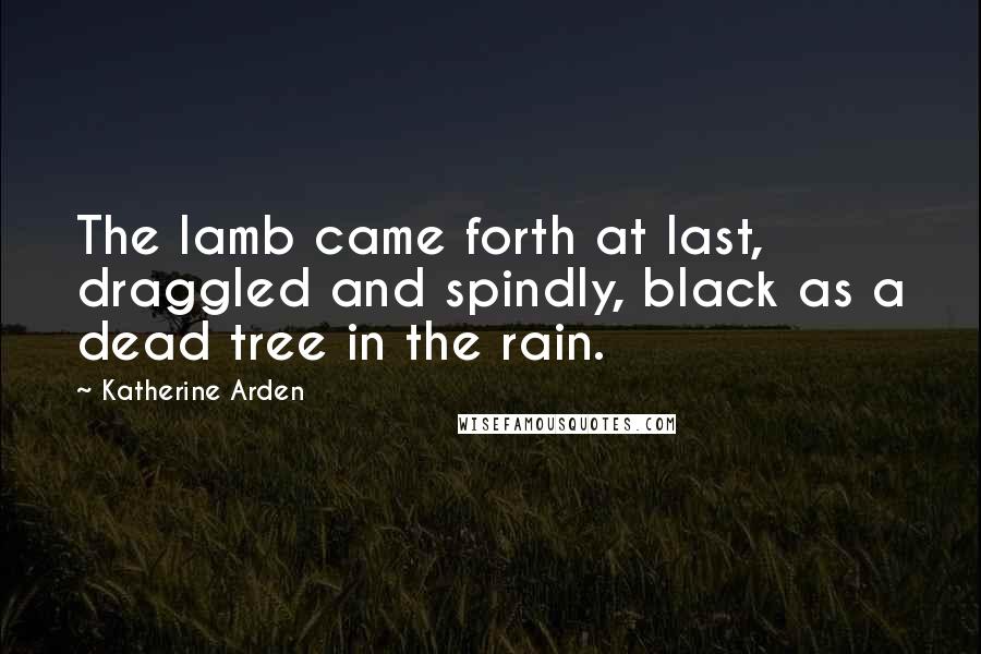 Katherine Arden Quotes: The lamb came forth at last, draggled and spindly, black as a dead tree in the rain.