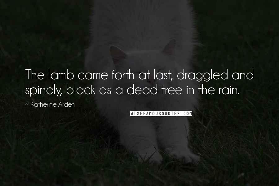 Katherine Arden Quotes: The lamb came forth at last, draggled and spindly, black as a dead tree in the rain.