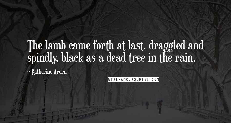 Katherine Arden Quotes: The lamb came forth at last, draggled and spindly, black as a dead tree in the rain.