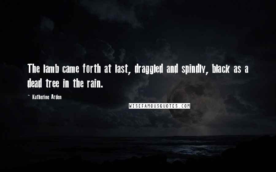 Katherine Arden Quotes: The lamb came forth at last, draggled and spindly, black as a dead tree in the rain.