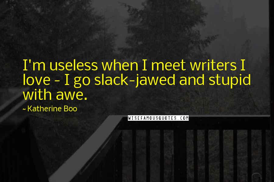 Katherine Boo Quotes: I'm useless when I meet writers I love - I go slack-jawed and stupid with awe.