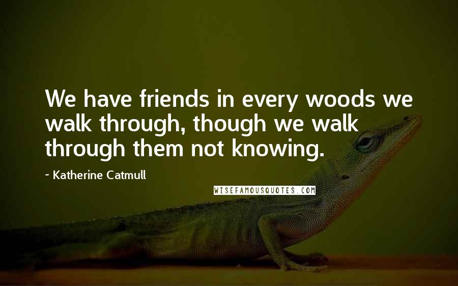 Katherine Catmull Quotes: We have friends in every woods we walk through, though we walk through them not knowing.
