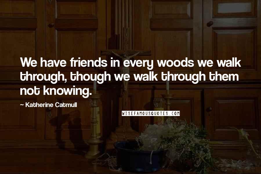 Katherine Catmull Quotes: We have friends in every woods we walk through, though we walk through them not knowing.
