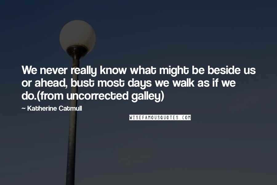 Katherine Catmull Quotes: We never really know what might be beside us or ahead, bust most days we walk as if we do.(from uncorrected galley)