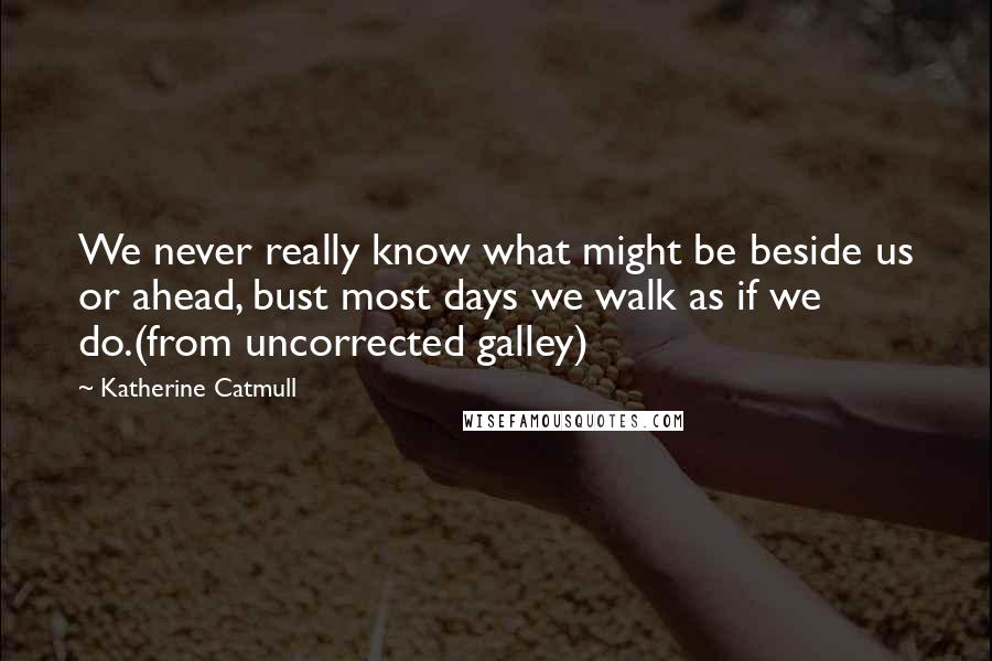 Katherine Catmull Quotes: We never really know what might be beside us or ahead, bust most days we walk as if we do.(from uncorrected galley)