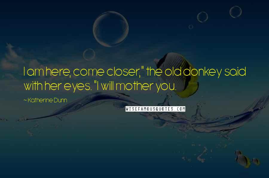 Katherine Dunn Quotes: I am here, come closer," the old donkey said with her eyes. "I will mother you.