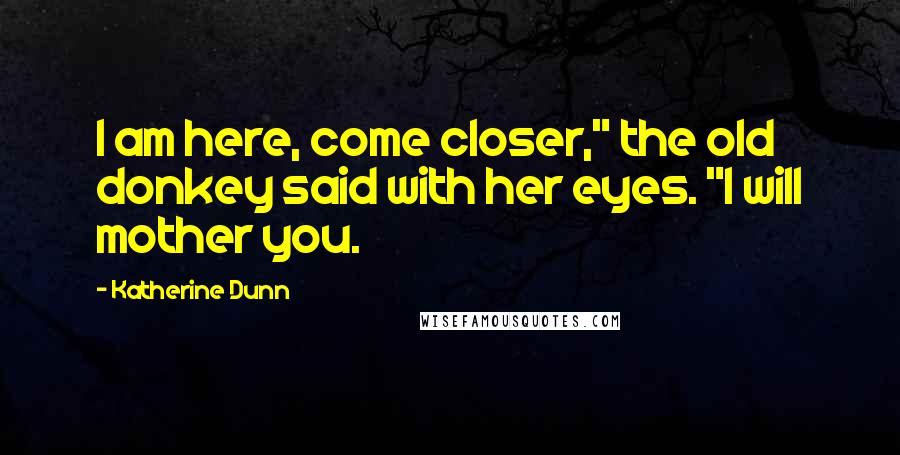 Katherine Dunn Quotes: I am here, come closer," the old donkey said with her eyes. "I will mother you.