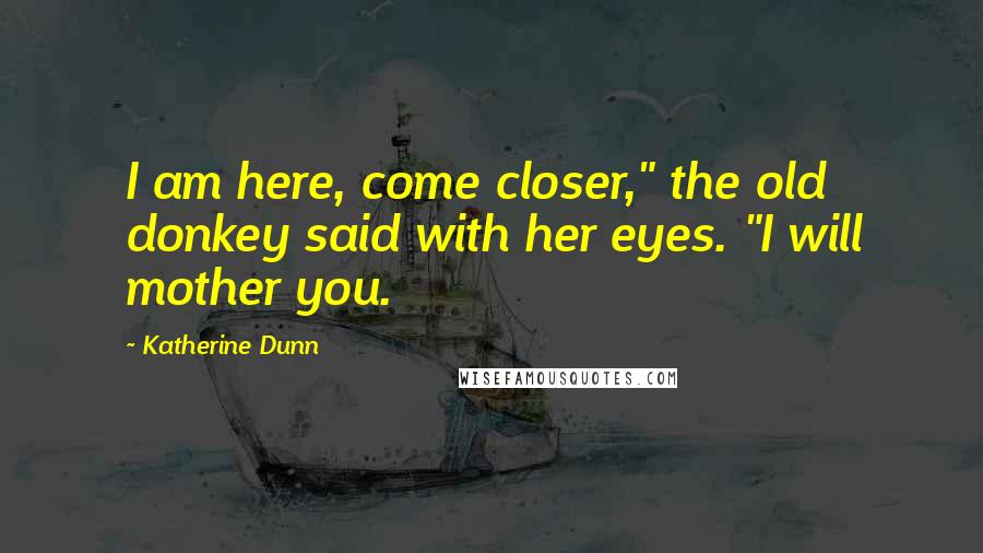 Katherine Dunn Quotes: I am here, come closer," the old donkey said with her eyes. "I will mother you.