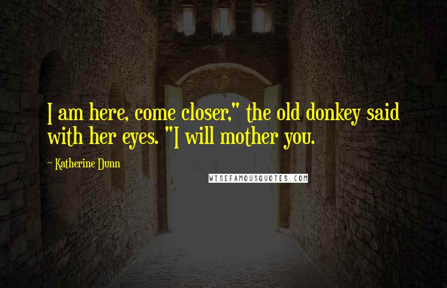 Katherine Dunn Quotes: I am here, come closer," the old donkey said with her eyes. "I will mother you.