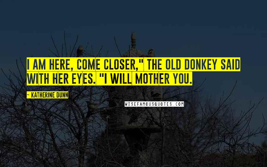 Katherine Dunn Quotes: I am here, come closer," the old donkey said with her eyes. "I will mother you.