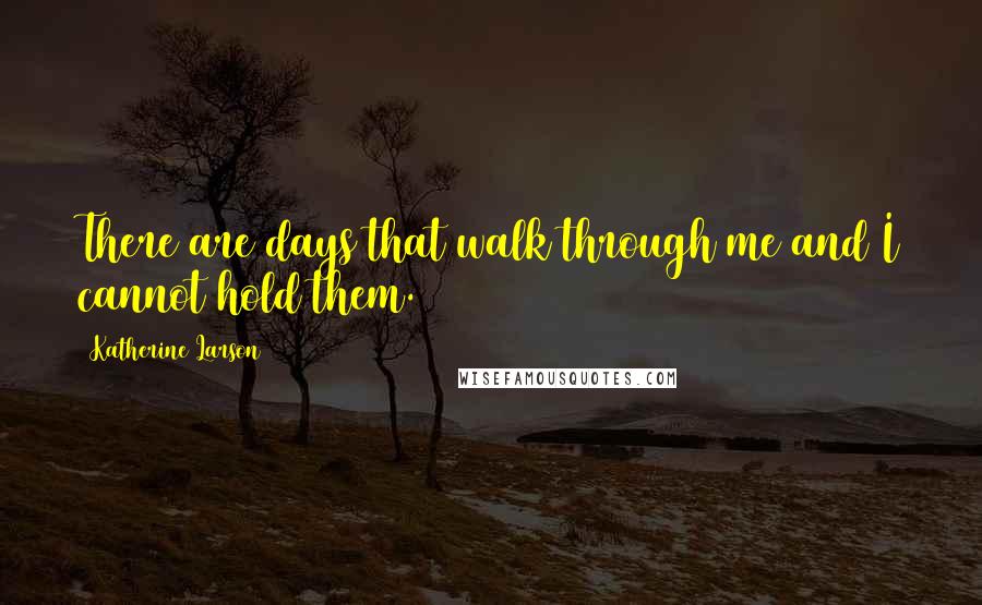 Katherine Larson Quotes: There are days that walk through me and I cannot hold them.