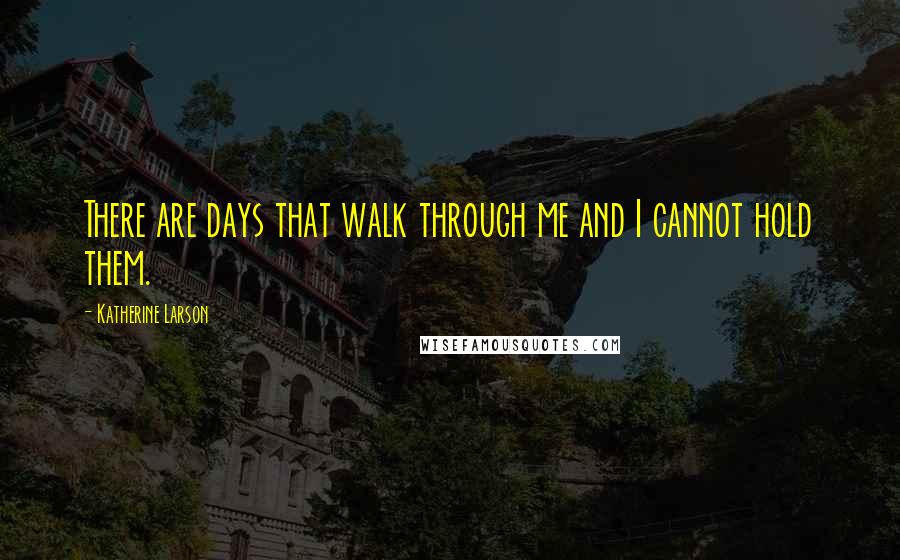 Katherine Larson Quotes: There are days that walk through me and I cannot hold them.