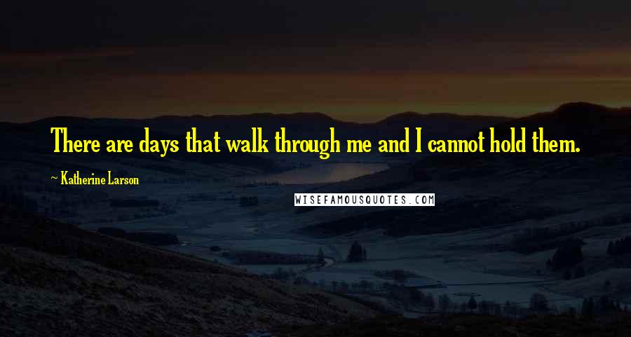 Katherine Larson Quotes: There are days that walk through me and I cannot hold them.