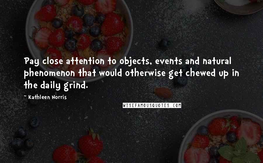 Kathleen Norris Quotes: Pay close attention to objects, events and natural phenomenon that would otherwise get chewed up in the daily grind.