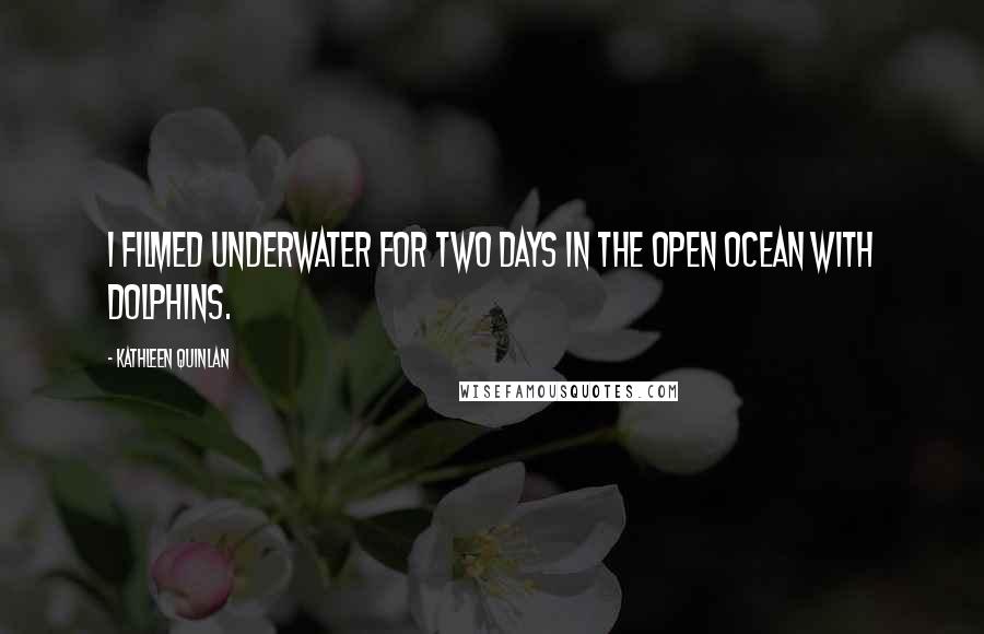 Kathleen Quinlan Quotes: I filmed underwater for two days in the open ocean with dolphins.