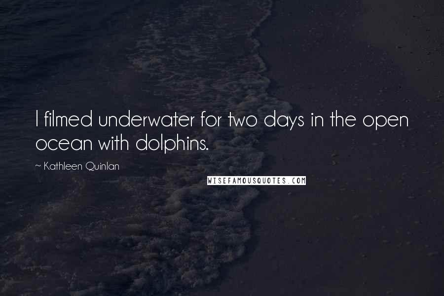 Kathleen Quinlan Quotes: I filmed underwater for two days in the open ocean with dolphins.