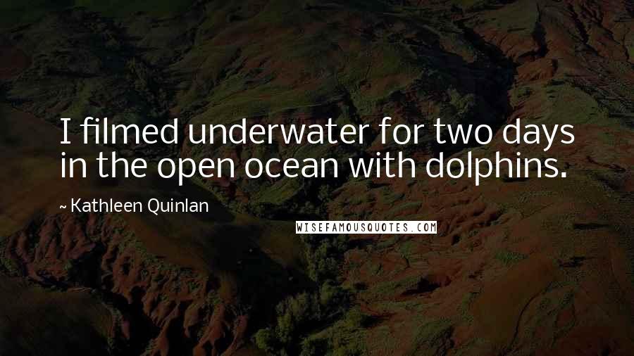 Kathleen Quinlan Quotes: I filmed underwater for two days in the open ocean with dolphins.