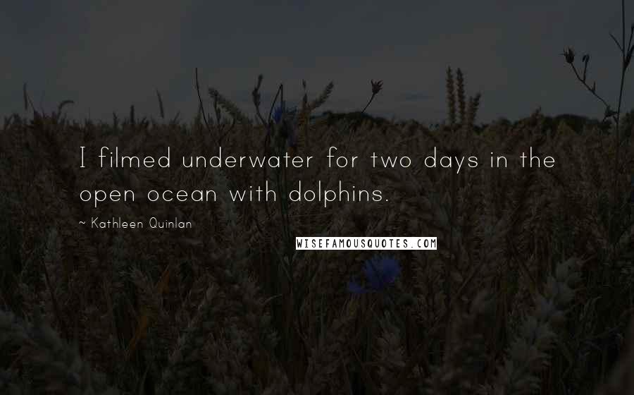 Kathleen Quinlan Quotes: I filmed underwater for two days in the open ocean with dolphins.