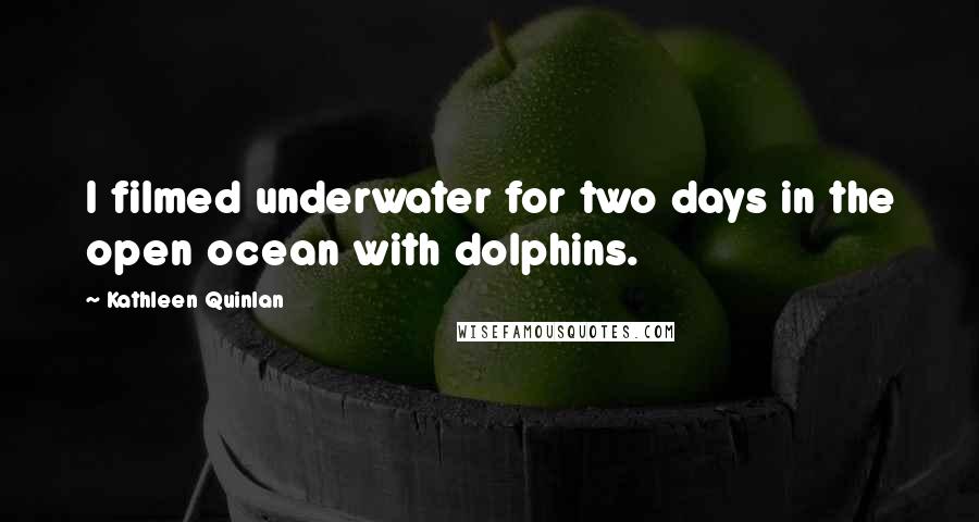 Kathleen Quinlan Quotes: I filmed underwater for two days in the open ocean with dolphins.