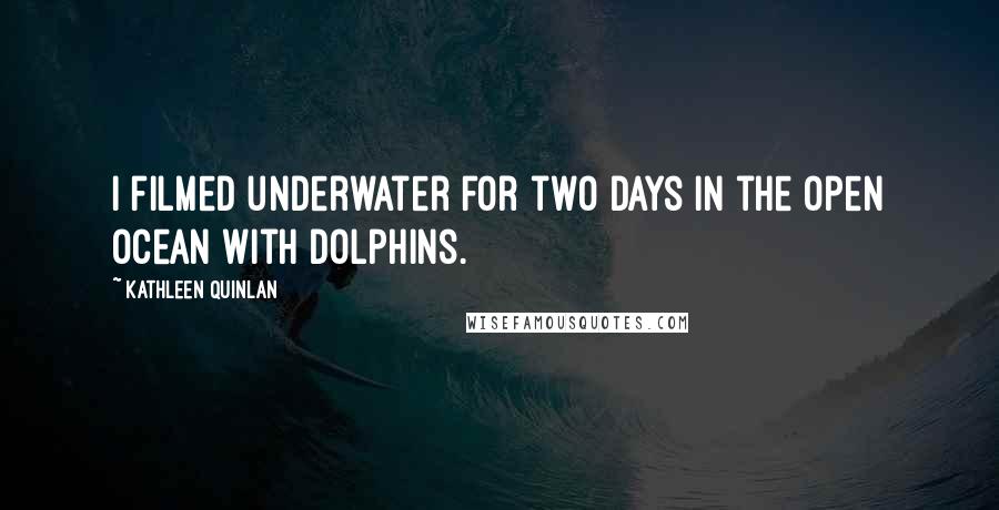 Kathleen Quinlan Quotes: I filmed underwater for two days in the open ocean with dolphins.