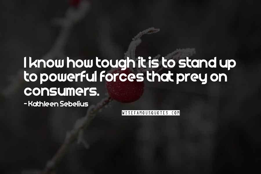 Kathleen Sebelius Quotes: I know how tough it is to stand up to powerful forces that prey on consumers.