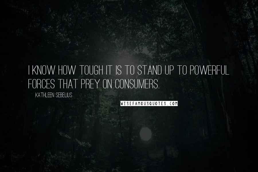 Kathleen Sebelius Quotes: I know how tough it is to stand up to powerful forces that prey on consumers.