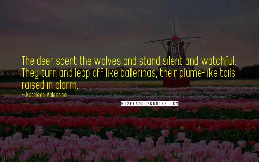 Kathleen Valentine Quotes: The deer scent the wolves and stand silent and watchful. They turn and leap off like ballerinas, their plume-like tails raised in alarm.