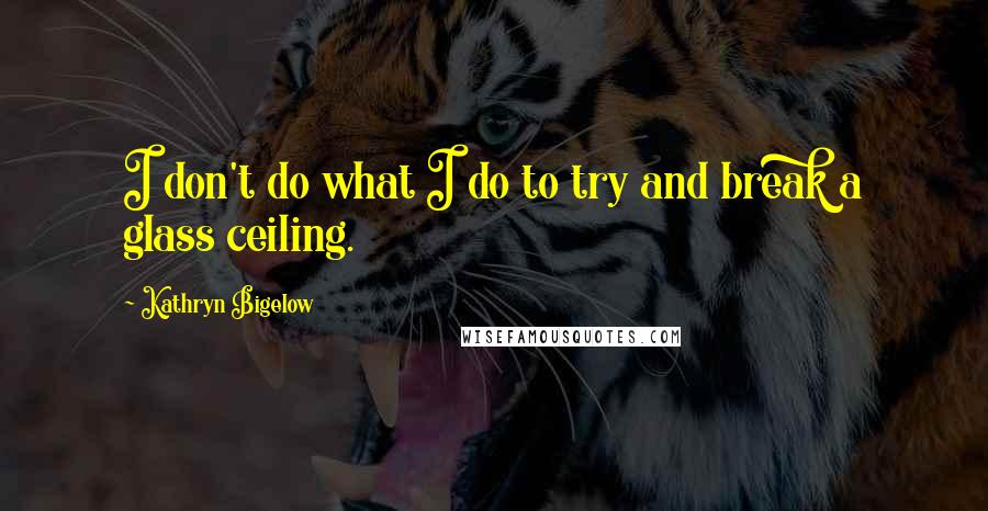 Kathryn Bigelow Quotes: I don't do what I do to try and break a glass ceiling.