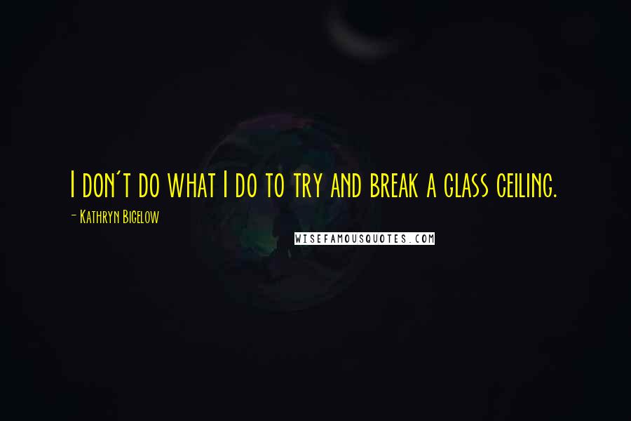 Kathryn Bigelow Quotes: I don't do what I do to try and break a glass ceiling.