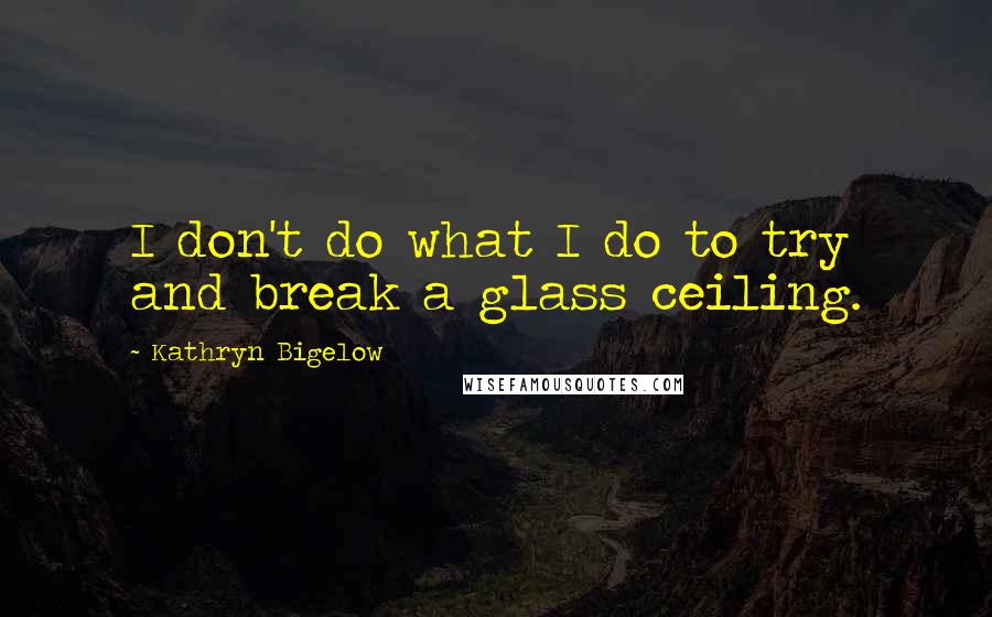 Kathryn Bigelow Quotes: I don't do what I do to try and break a glass ceiling.