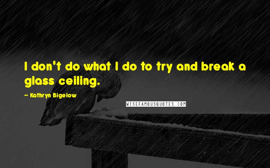 Kathryn Bigelow Quotes: I don't do what I do to try and break a glass ceiling.