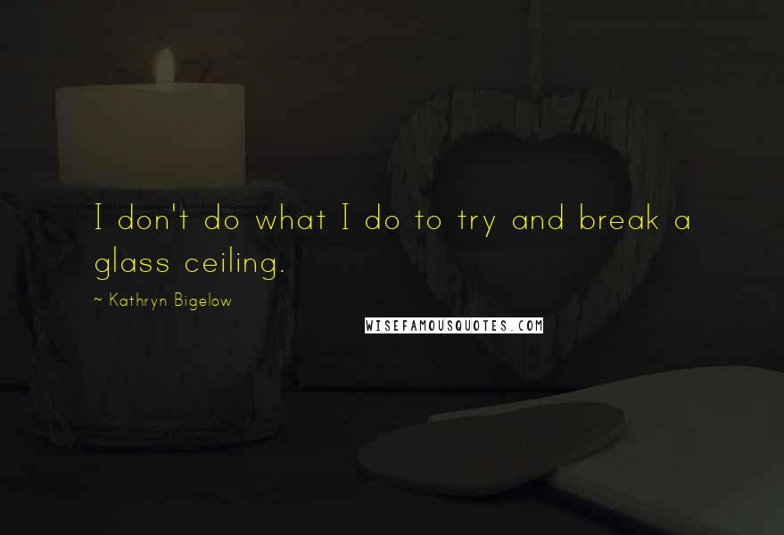 Kathryn Bigelow Quotes: I don't do what I do to try and break a glass ceiling.