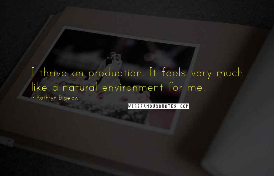 Kathryn Bigelow Quotes: I thrive on production. It feels very much like a natural environment for me.