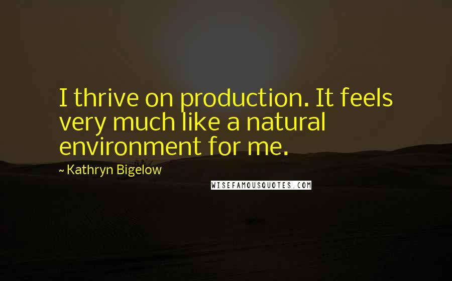 Kathryn Bigelow Quotes: I thrive on production. It feels very much like a natural environment for me.
