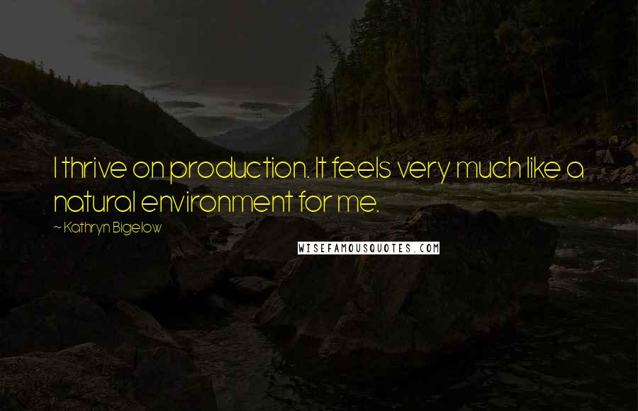 Kathryn Bigelow Quotes: I thrive on production. It feels very much like a natural environment for me.