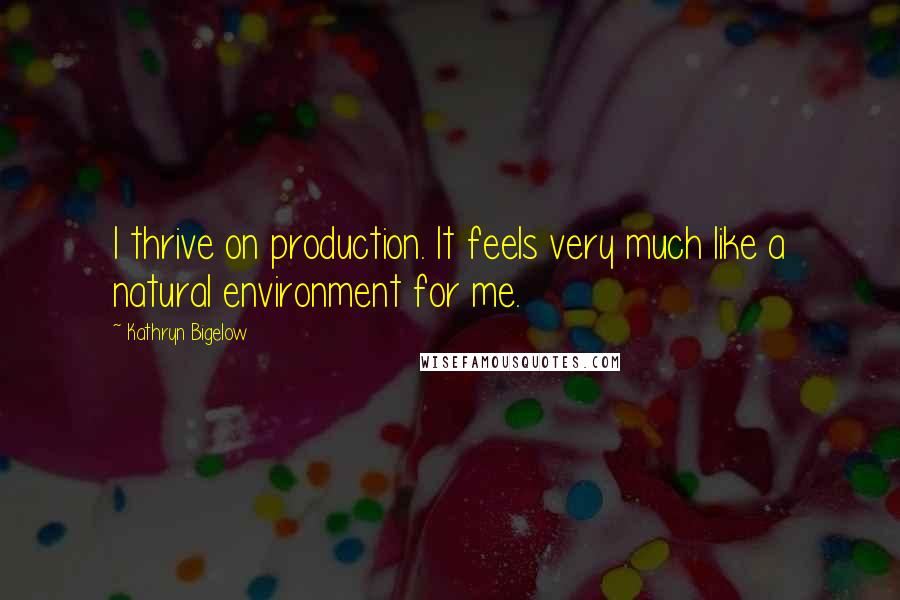 Kathryn Bigelow Quotes: I thrive on production. It feels very much like a natural environment for me.